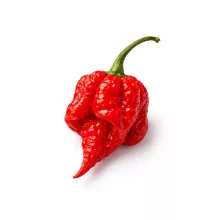 Carolina Reaper rot samen