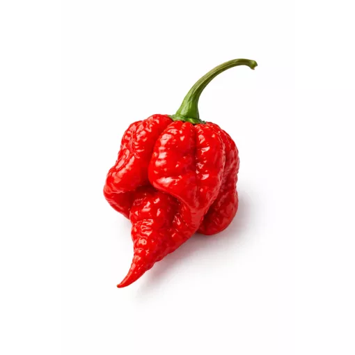 Carolina Reaper rot samen
