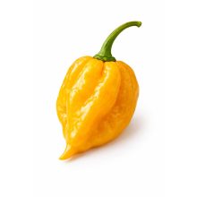 Habanéró sárga mag