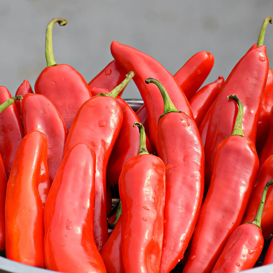 Milyen a chili paprika hatása az egészségedre?
